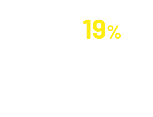 19%