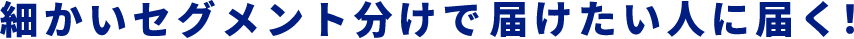 細かいセグメント分けで届けたい人に届く